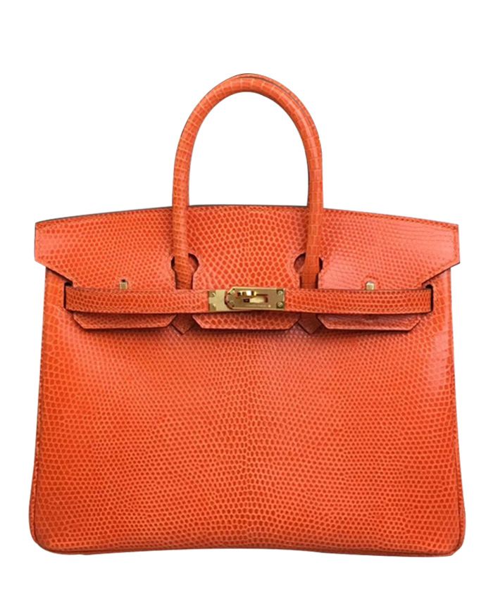 Her..mes Birkin 25 Lizard leather