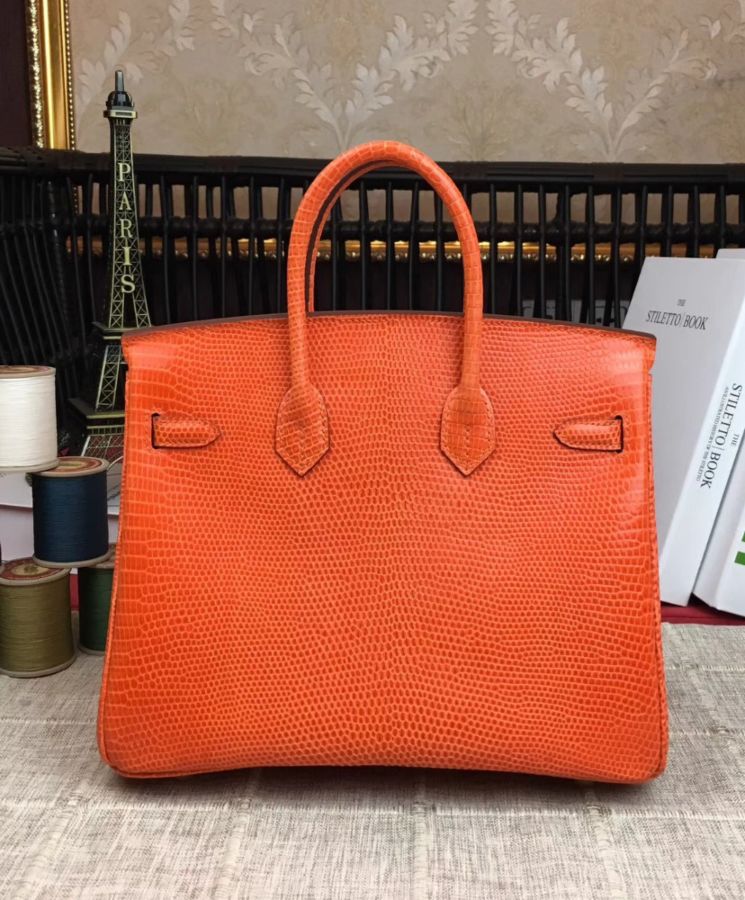 Her..mes Birkin 25 Lizard leather