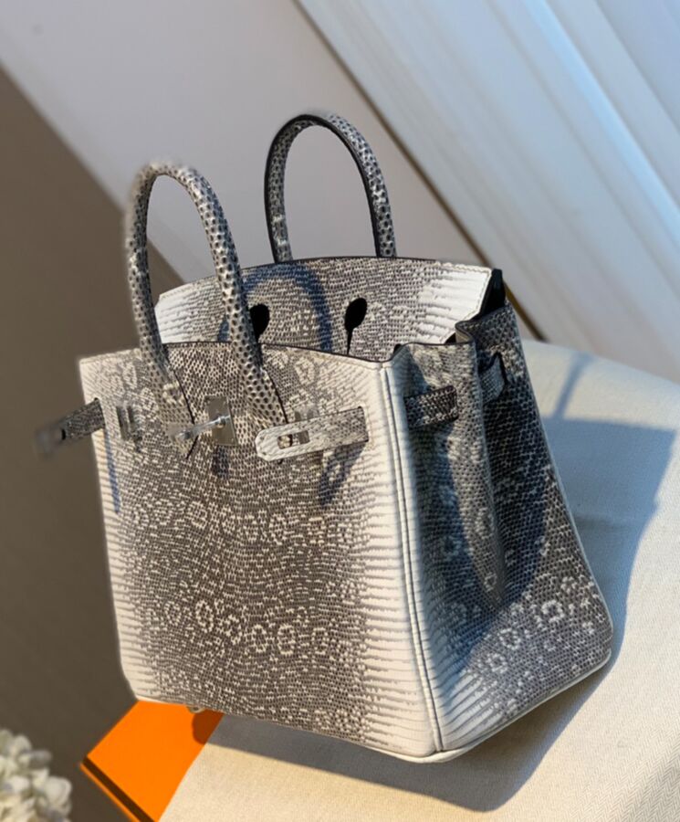 Her..mes Birkin 25 Ombre Lizard Palladium Hardware Cream