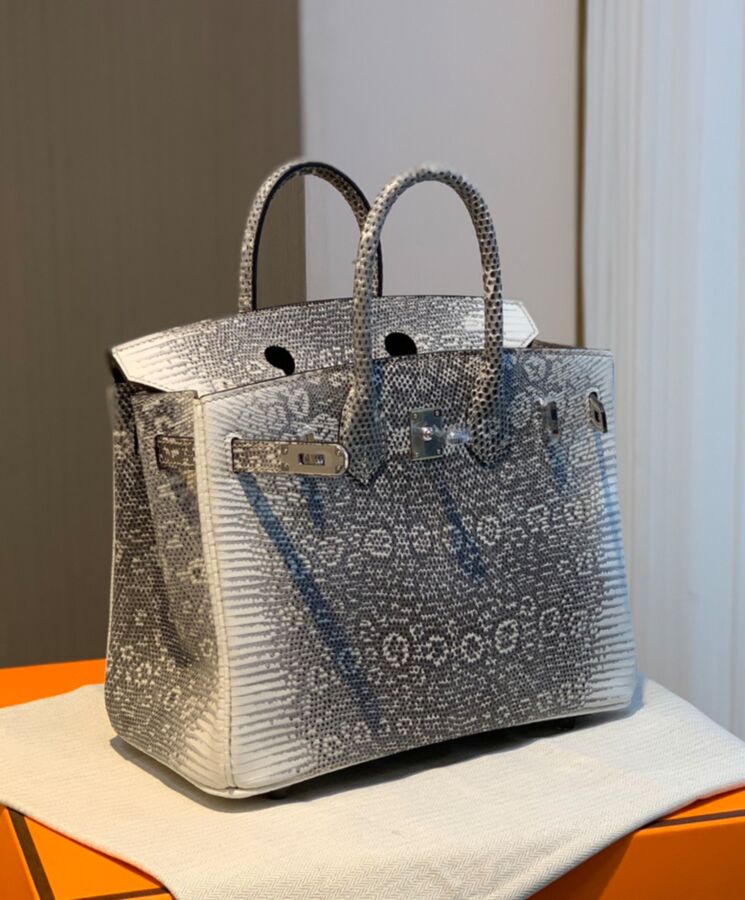 Her..mes Birkin 25 Ombre Lizard Palladium Hardware Cream