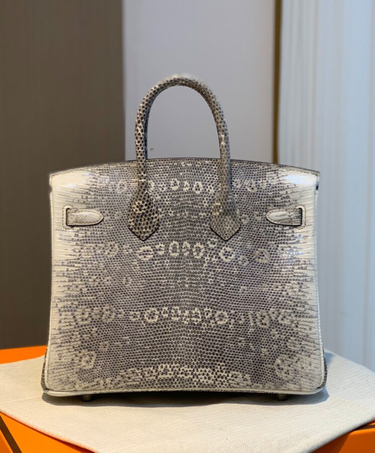 Her..mes Birkin 25 Ombre Lizard Palladium Hardware Cream