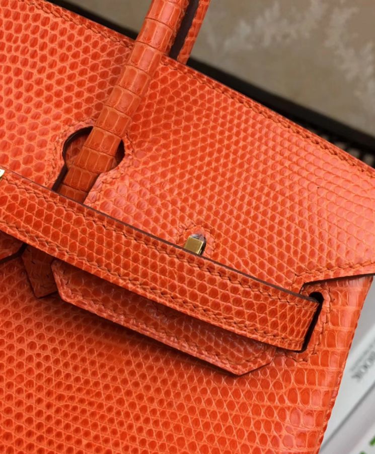 Her..mes Birkin 25 Lizard leather