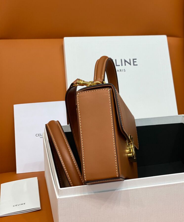 Ce.line Box Triomphe In Natural Calfskin Coffee