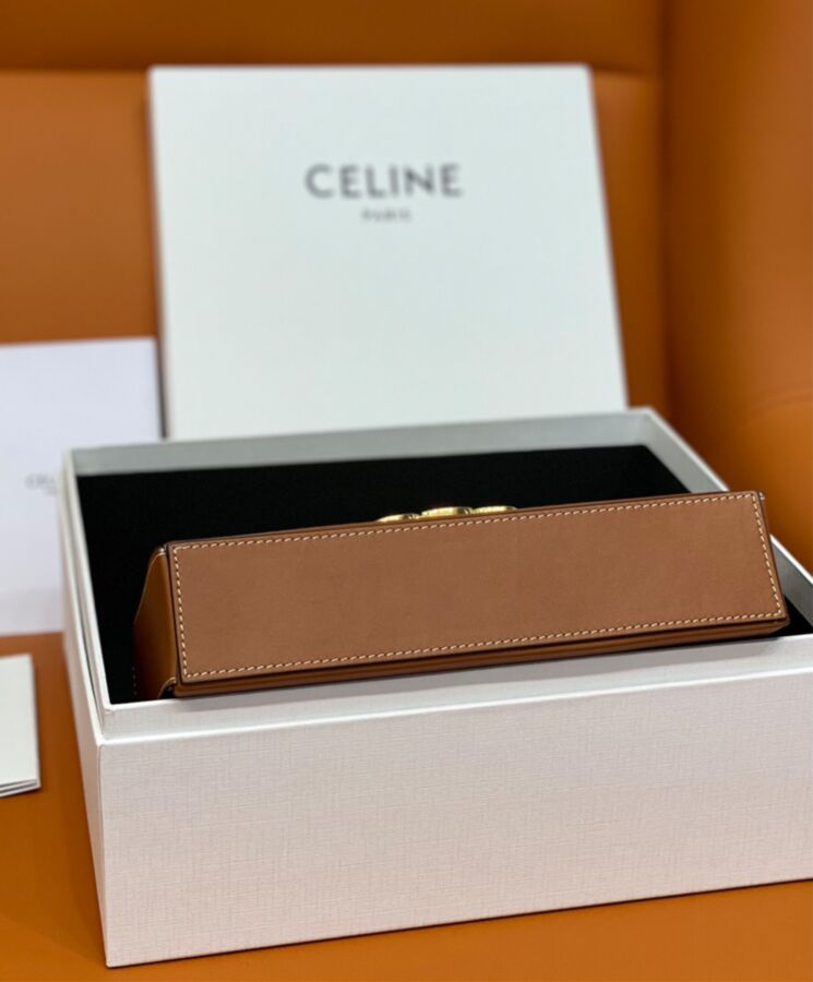 Ce.line Box Triomphe In Natural Calfskin Coffee