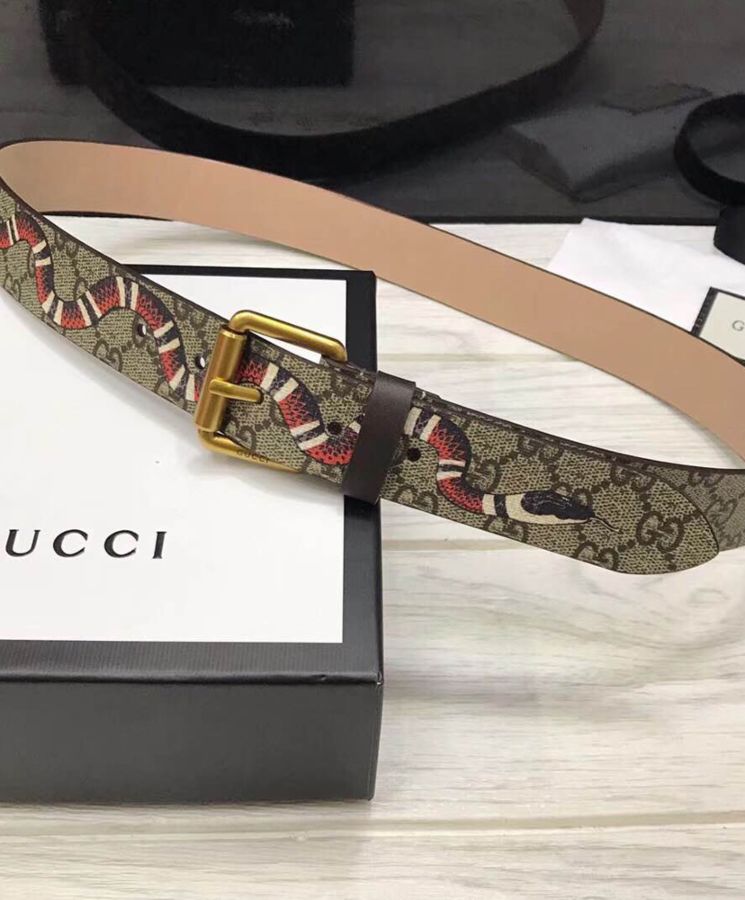 G.U.C.C GG Supreme belt with G buckle Coffee